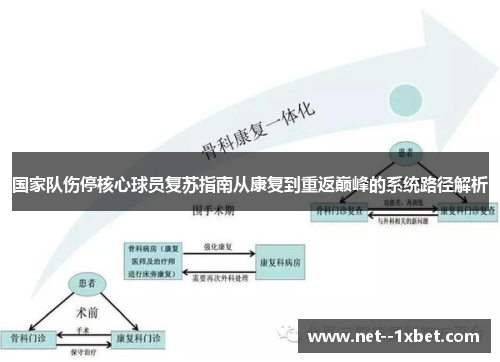 国家队伤停核心球员复苏指南从康复到重返巅峰的系统路径解析